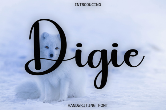 How Digie Font Helped My Brand Feel More Luxurious