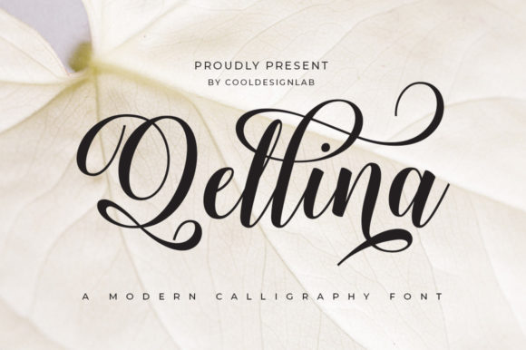 Qellina Font Review: A Script Typeface for Elegance and Creativity