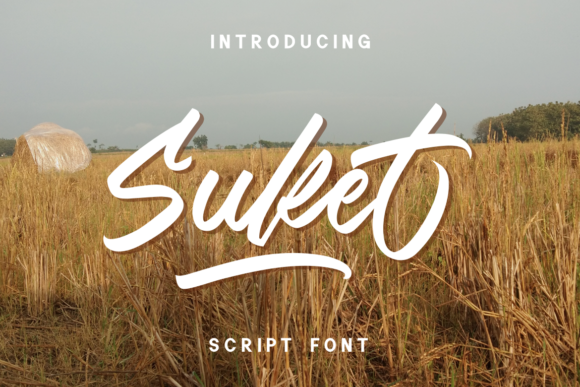 Suket Font for Modern Branding and Creative Typography